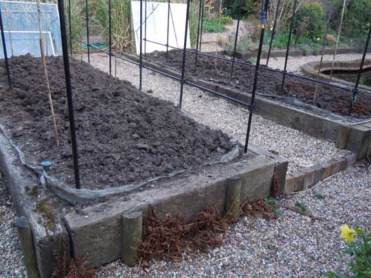 veg beds